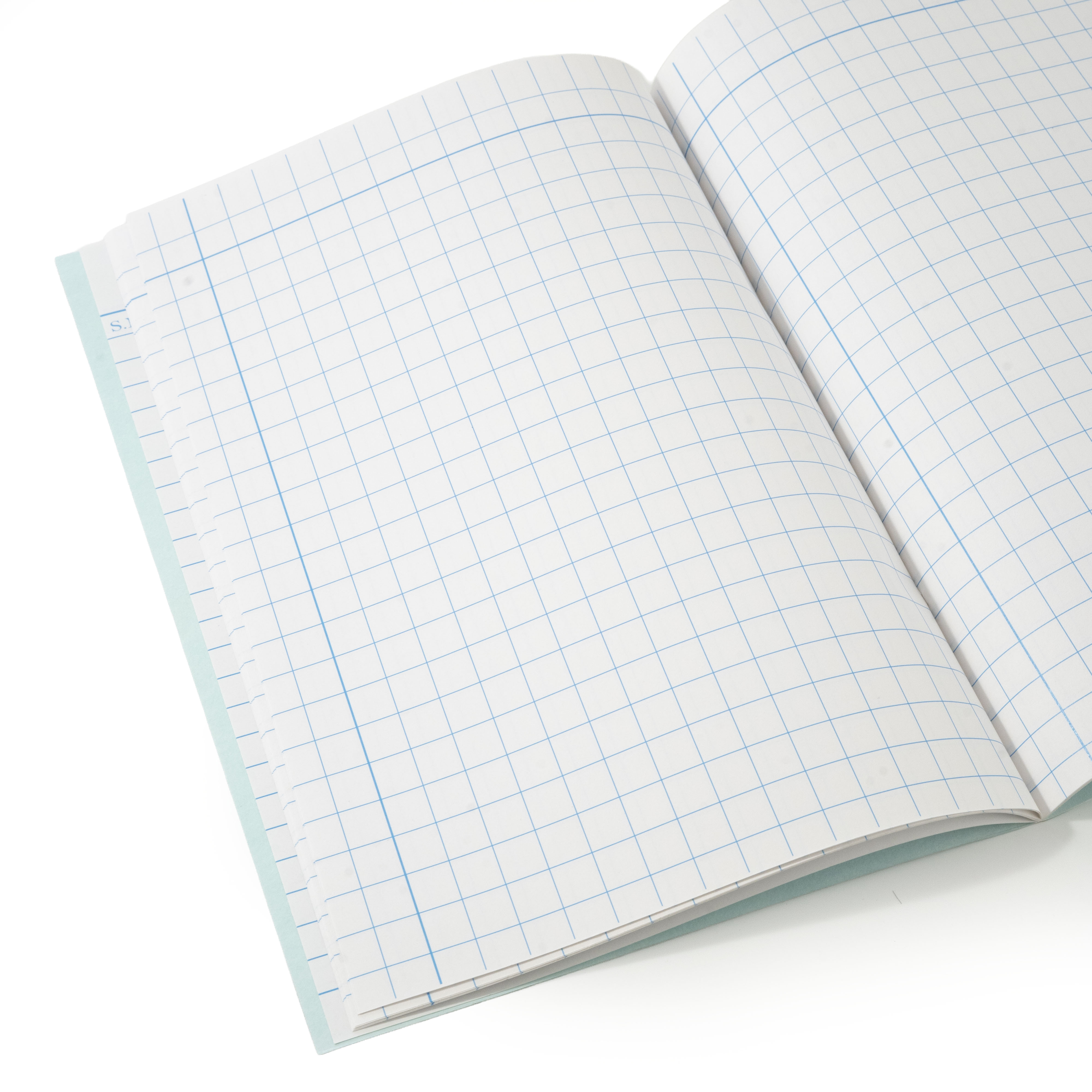 Square-ruled graph inside page 